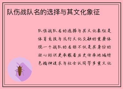 队伤战队名的选择与其文化象征